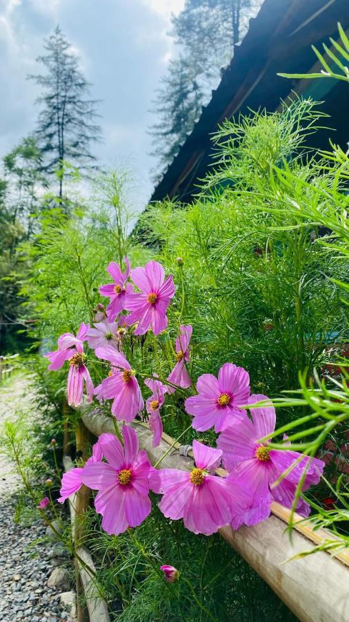 Himtrek Riverside Camps, Kasol Eksteriør billede