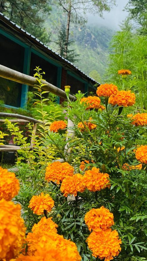 Himtrek Riverside Camps, Kasol Eksteriør billede