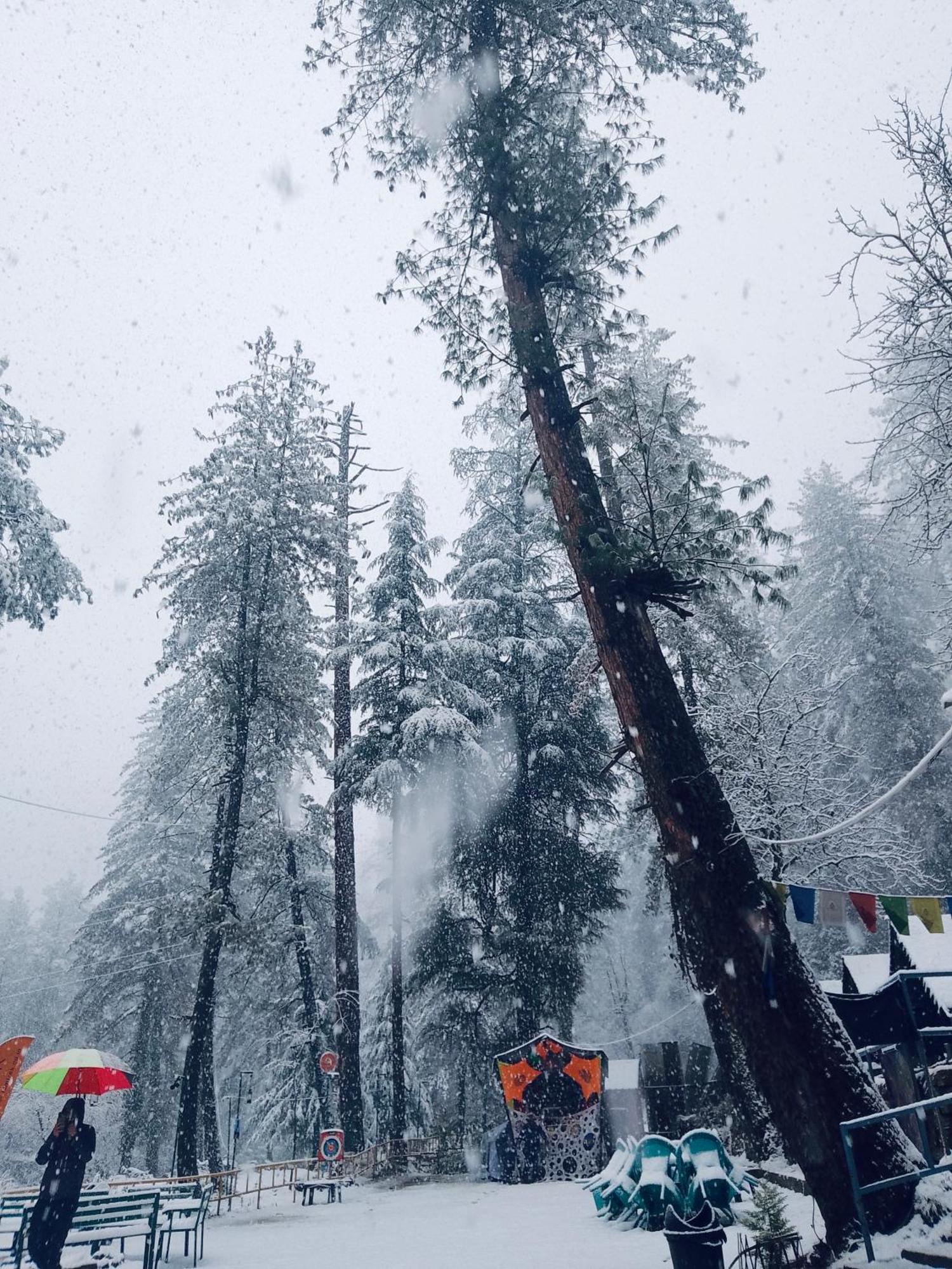 Himtrek Riverside Camps, Kasol Eksteriør billede